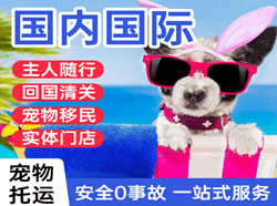山南隆子机场货运国际宠物托运 【国